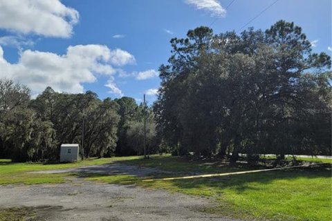 Land in Crescent City, Florida № 1552423 - photo 23