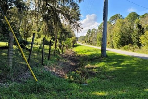 Land in Crescent City, Florida № 1552423 - photo 15