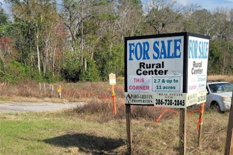 Land in Crescent City, Florida № 1552423 - photo 27
