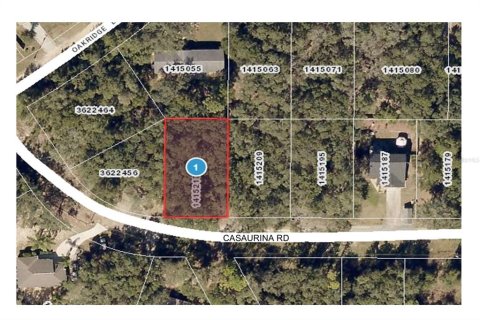 Land in Lady Lake, Florida № 2162530
