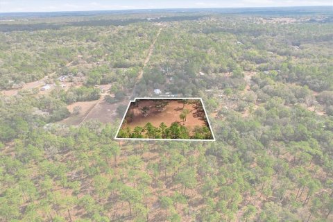 Land in Inverness, Florida № 2118317
