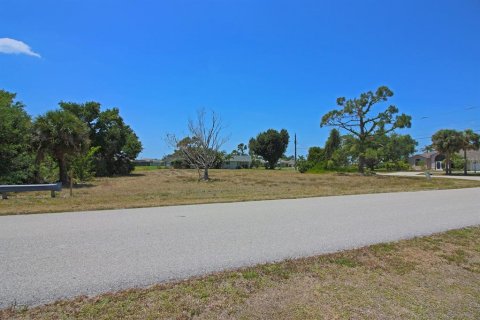 Land in Rotonda, Florida № 2159377 - photo 10
