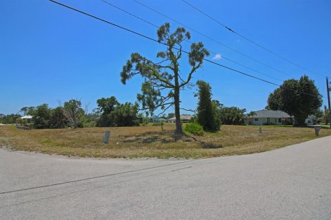 Land in Rotonda, Florida № 2159377 - photo 6