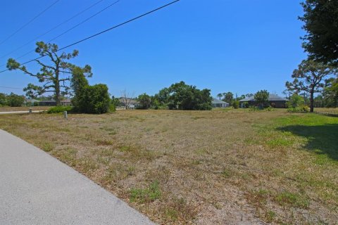 Land in Rotonda, Florida № 2159377 - photo 9