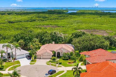 House in Tampa, Florida 4 bedrooms, 320.05 sq.m. № 2302861