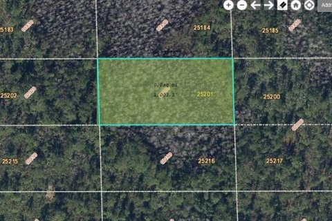 Land in Orlando, Florida № 2219137