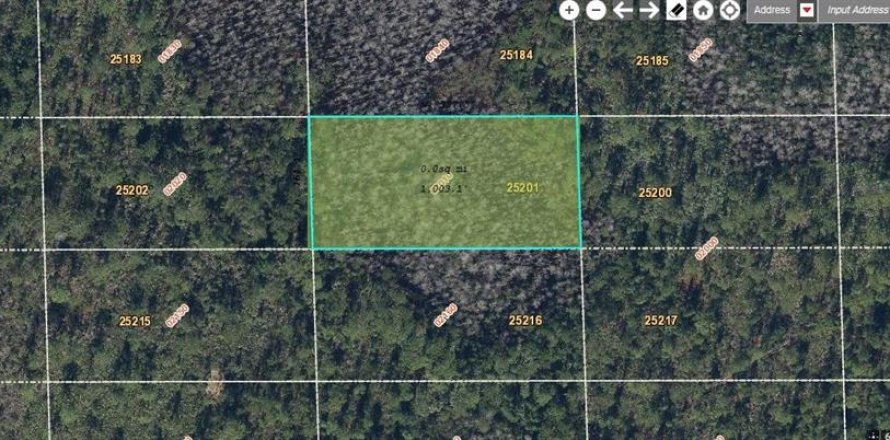 Land in Orlando, Florida № 2219137