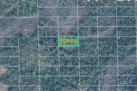 Land in Orlando, Florida № 2219137 - photo 2