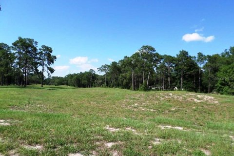 Commercial property in Dunnellon, Florida № 1720033 - photo 12