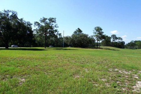 Commercial property in Dunnellon, Florida № 1720033 - photo 16