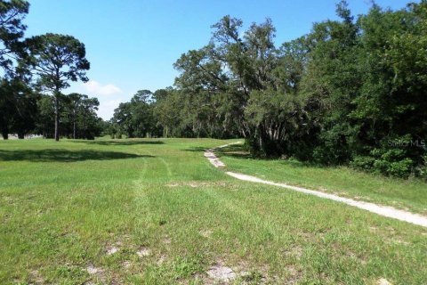 Commercial property in Dunnellon, Florida № 1720033 - photo 20