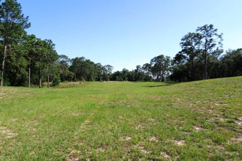 Commercial property in Dunnellon, Florida № 1720033 - photo 17