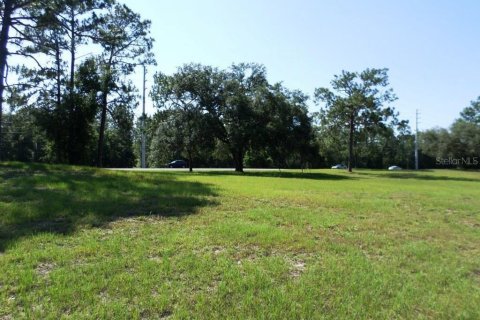 Commercial property in Dunnellon, Florida № 1720033 - photo 15