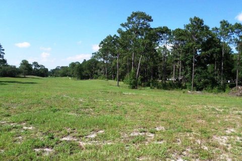 Commercial property in Dunnellon, Florida № 1720033 - photo 13