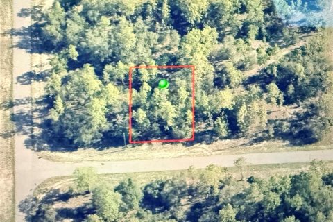 Land in Dunnellon, Florida № 2233197