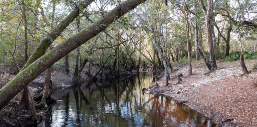 Terrain à Macclenny, Floride № 870734