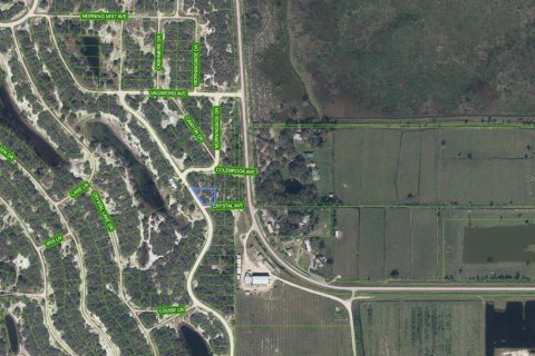 Land in Lake Placid, Florida № 2159277 - photo 3