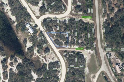 Land in Lake Placid, Florida № 2159277 - photo 2