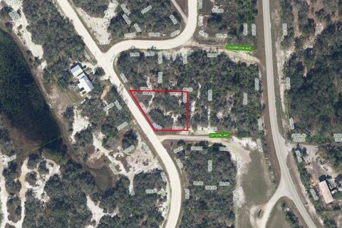 Land in Lake Placid, Florida № 2159277