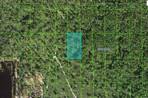 Terreno en Lake Wales, Florida № 2202861