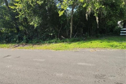 Terrain à Gainesville, Floride № 2231801
