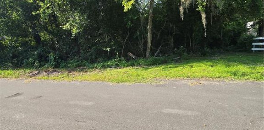 Terrain à Gainesville, Floride № 2231801
