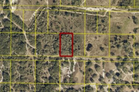 Terreno en Okeechobee, Florida № 2222393