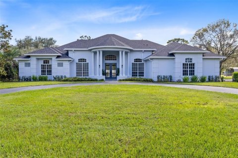 Villa ou maison à vendre à Orlando, Floride: 4 chambres, 339.19 m2 № 2434712 - photo 2