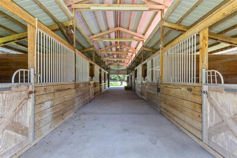 Villa ou maison à vendre à Orlando, Floride: 4 chambres, 339.19 m2 № 2434712 - photo 6