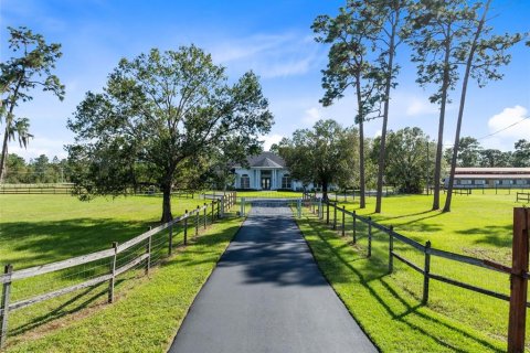 Villa ou maison à Orlando, Floride 4 chambres, 339.19 m2 № 2434712