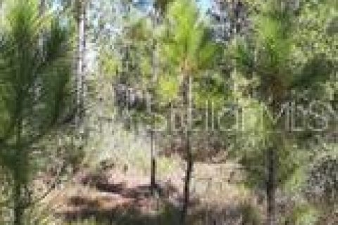 Terreno en alquiler en Clermont, Florida № 229338 - foto 2