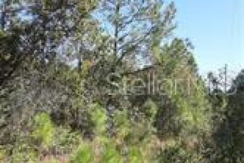 Terreno en alquiler en Clermont, Florida № 229338 - foto 3