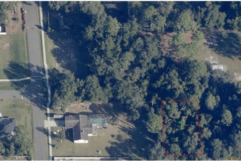 Land in Orange City, Florida № 2229071 - photo 2