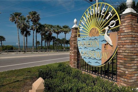 Condominio en alquiler en Dunedin, Florida, 1 dormitorio, 65.4 m2 № 1593558 - foto 17