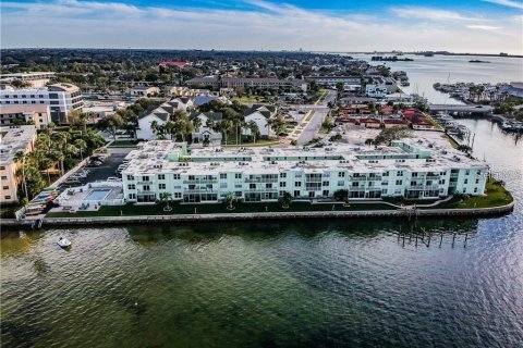 Condominio en alquiler en Dunedin, Florida, 1 dormitorio, 65.4 m2 № 1593558 - foto 22