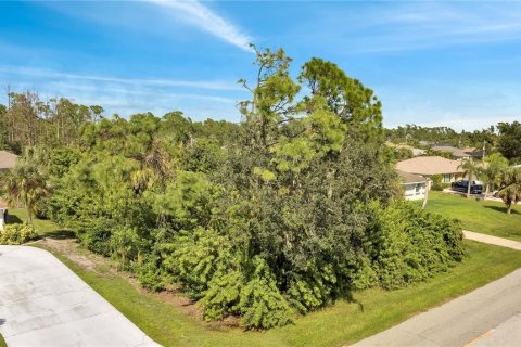 Land in Port Charlotte, Florida № 2205813 - photo 2