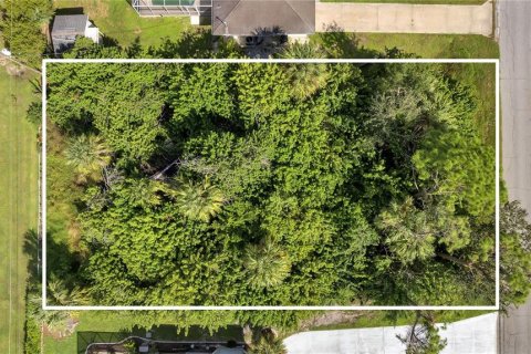 Land in Port Charlotte, Florida № 2205813 - photo 4