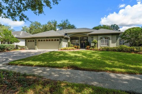House in Tampa, Florida 4 bedrooms, 245.54 sq.m. № 2356557