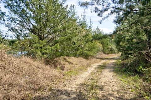 Land in Newberry, Florida № 1724388 - photo 24