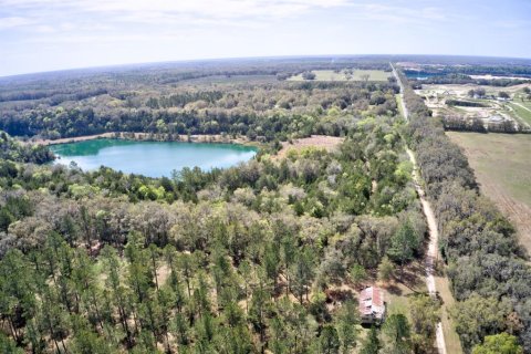 Land in Newberry, Florida № 1724388 - photo 2