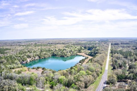 Land in Newberry, Florida № 1724388 - photo 6