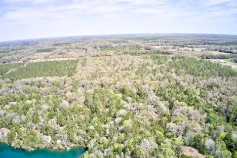 Land in Newberry, Florida № 1724388 - photo 12
