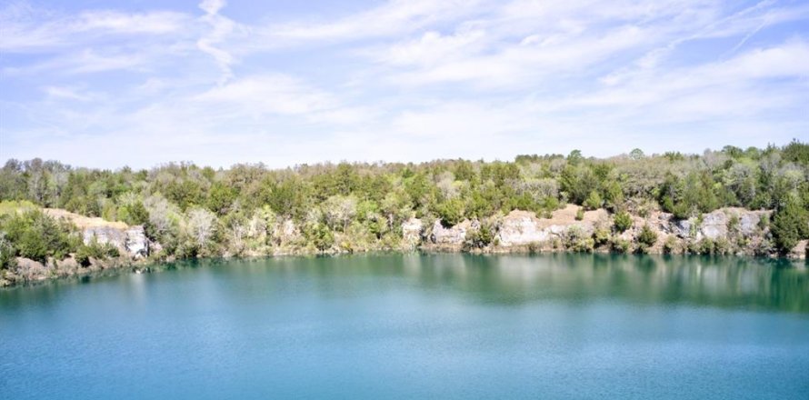Land in Newberry, Florida № 1724388