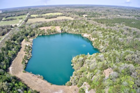 Land in Newberry, Florida № 1724388 - photo 10