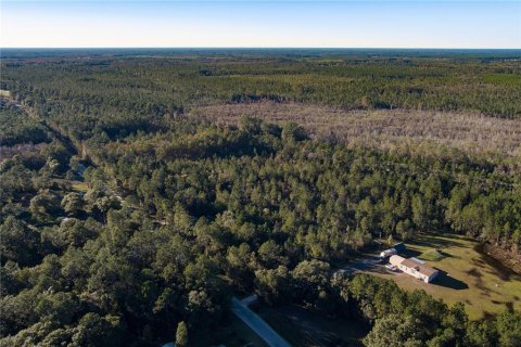 Land in Glen Saint Mary, Florida № 925957 - photo 2