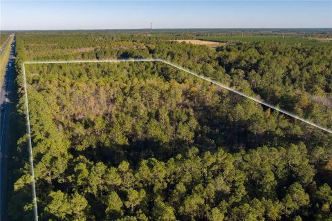 Terreno en venta en Glen Saint Mary, Florida № 925957 - foto 13