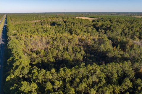 Terreno en venta en Glen Saint Mary, Florida № 925957 - foto 12