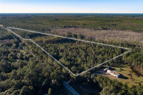 Land in Glen Saint Mary, Florida № 925957 - photo 5