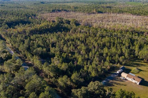 Land in Glen Saint Mary, Florida № 925957 - photo 6