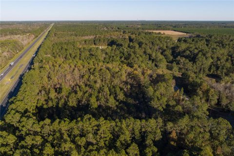 Terreno en venta en Glen Saint Mary, Florida № 925957 - foto 14